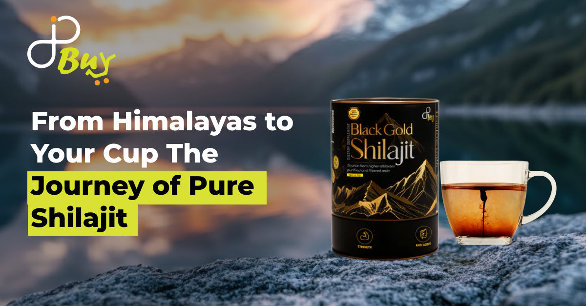 From Himalayas to Your Cup: The Journey of Pure Shilajit